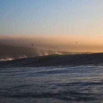 Гальмівні колодки Bosch