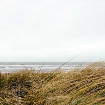 Масляний фільтр Mann