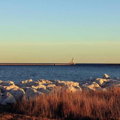 Воскові серветки для їжі